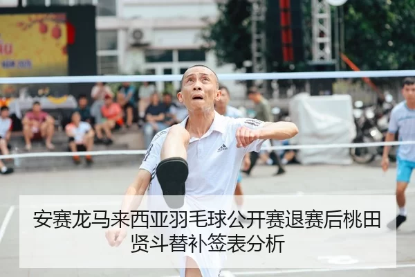 an-sai-long-ma-lai-xi-ya-yu-mao-qiu-gong-kai-sai-tui-sai-hou-tao-tian-xian-dou-ti-bu-qian-biao-fen-xi-2-508.jpg