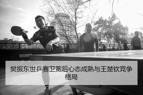fan-zhen-dong-shi-ping-sai-wei-mian-hou-xin-tai-cheng-shu-yu-wang-chu-qin-jing-zheng-ge-ju-2-935.jpg